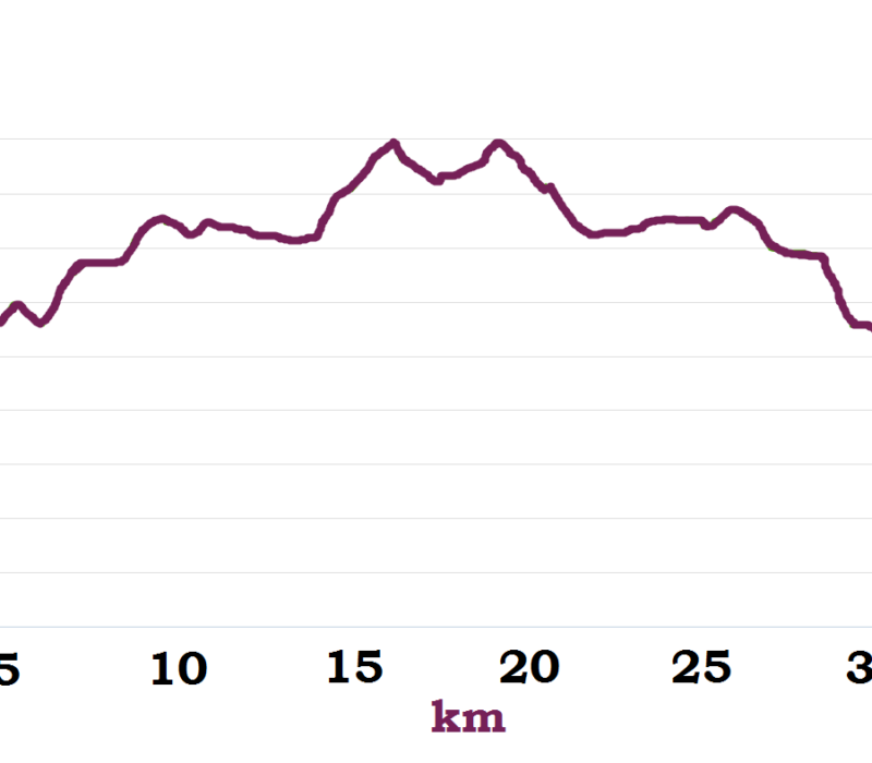 GRAFICO QUOTA Rocca Ripesena - S. Quirico - Montalfina - Sasso Tagliato - Rocca Ripesena