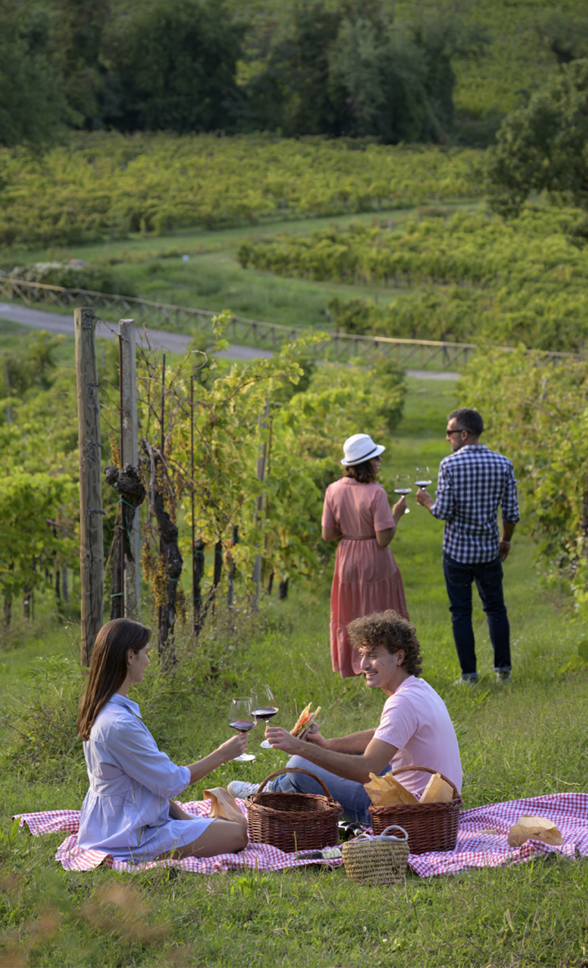 PicNic-in-vigna-listing