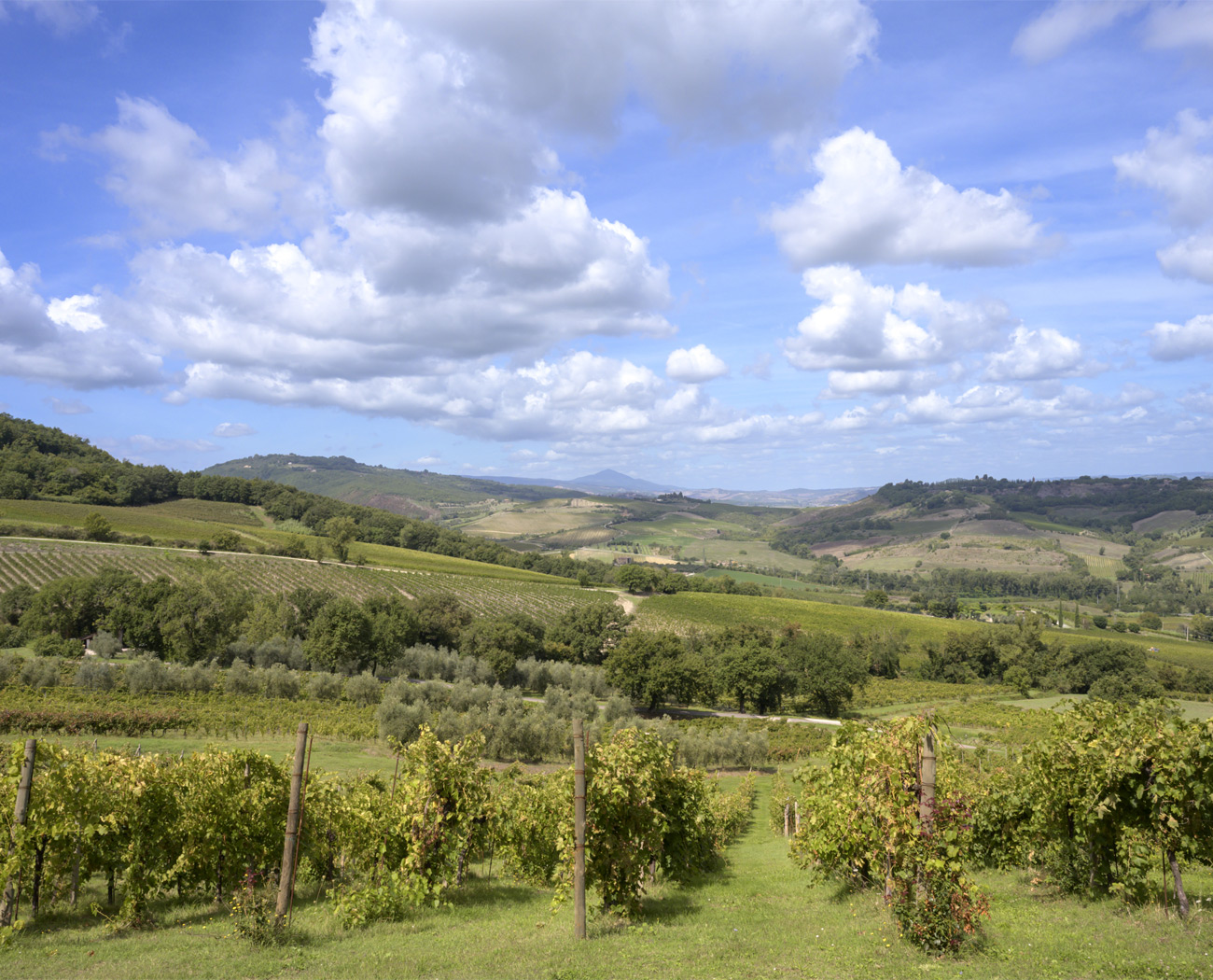 rinascita-tra-le-colline-1