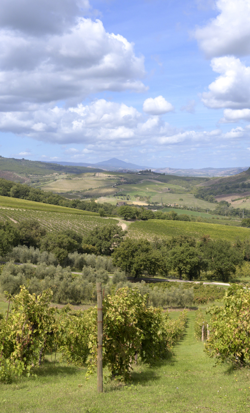 rinascita-tra-le-colline-2