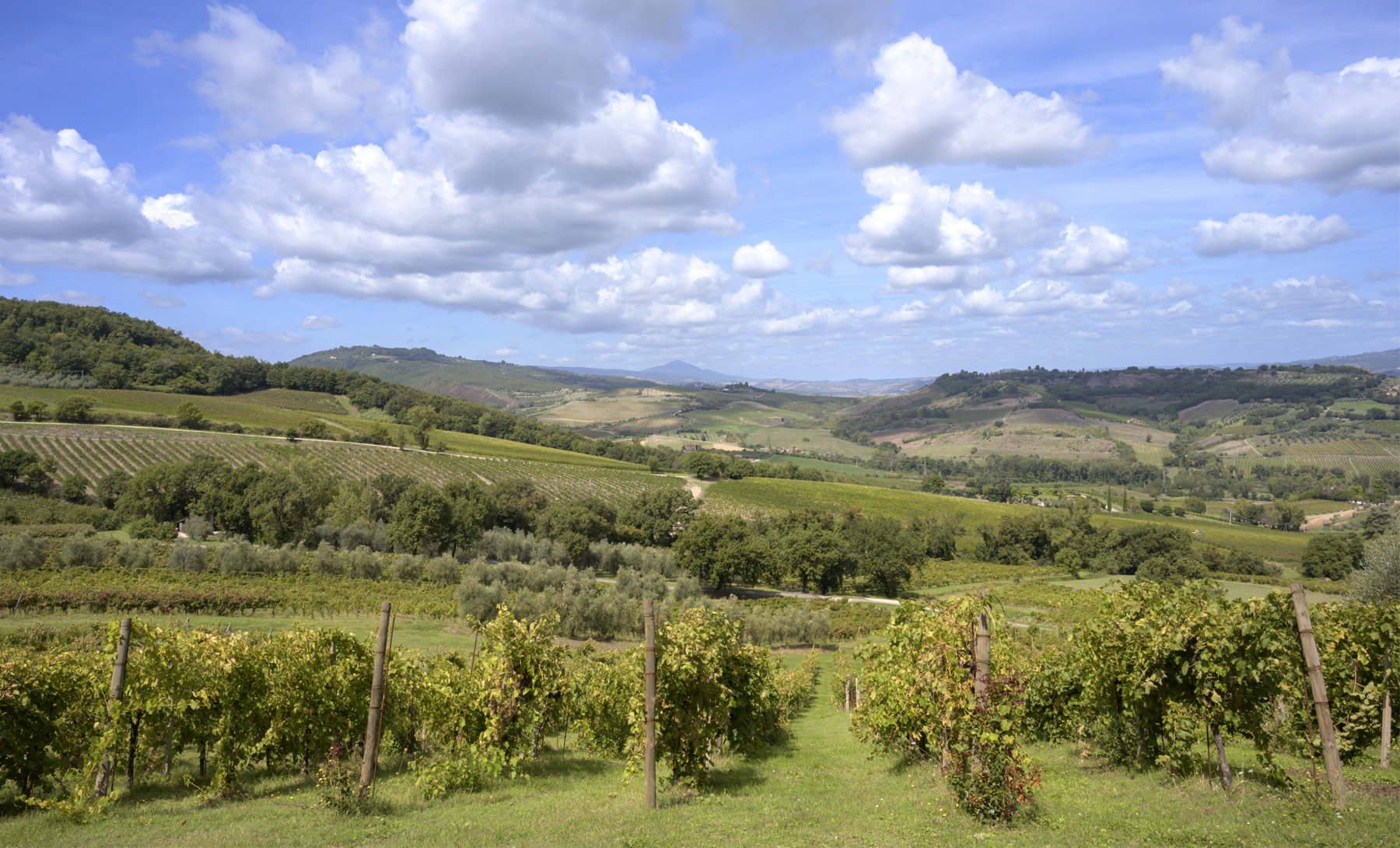 rinascita-tra-le-colline