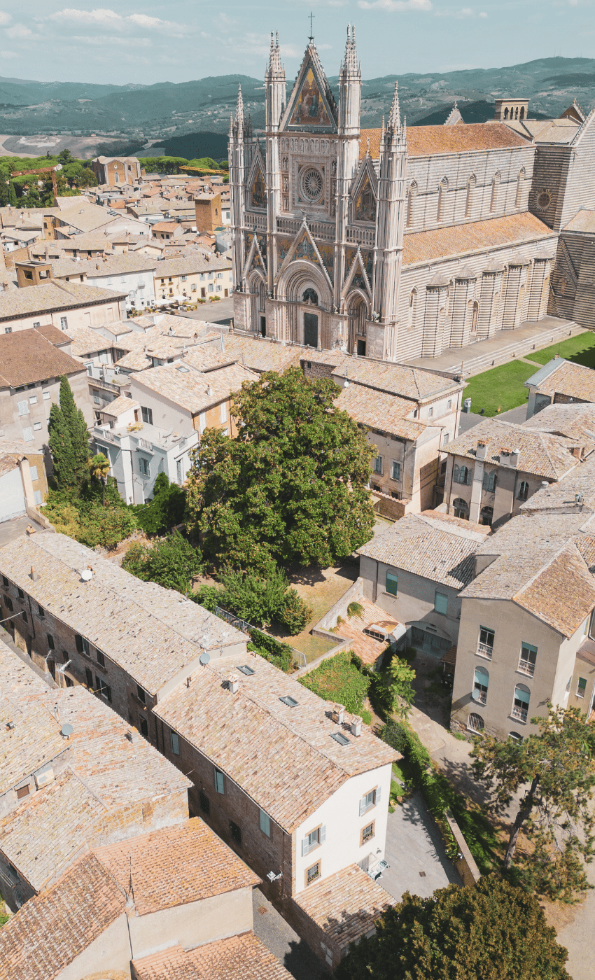 SITO 850 X 1400 (7)