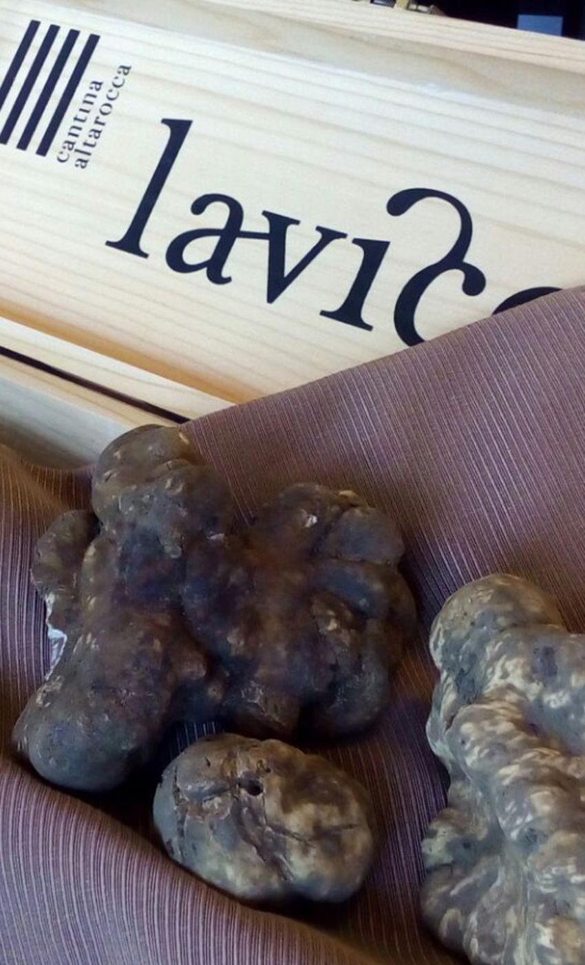 TRUFFLE
