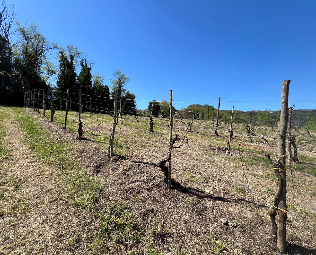 ARTICOLO BLOG LISTING