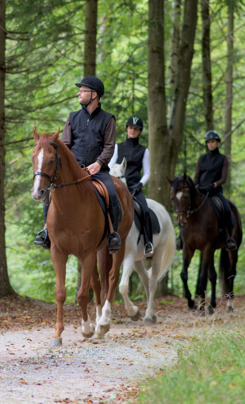 cavallo1